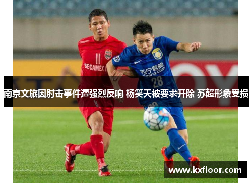南京文旅因肘击事件遭强烈反响 杨笑天被要求开除 苏超形象受损