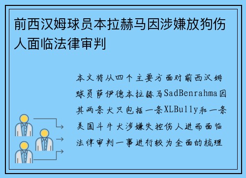 前西汉姆球员本拉赫马因涉嫌放狗伤人面临法律审判